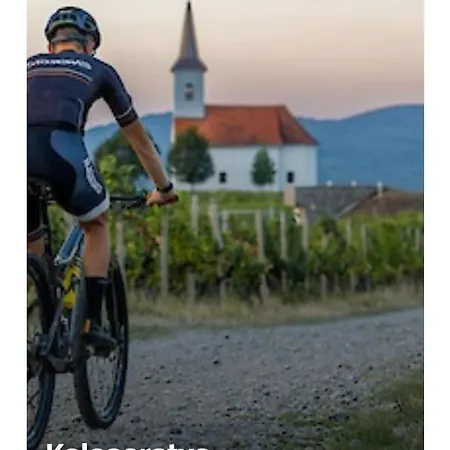 Druzinski Apartmaji Judnic דירה *